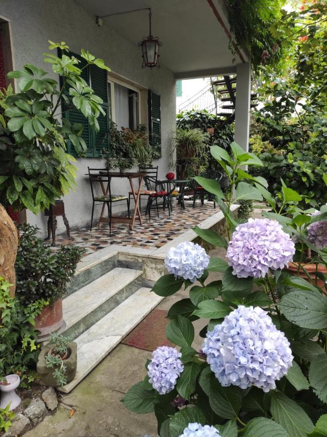 Casa Cambini Bed & Breakfast Marina di Massa Eksteriør bilde