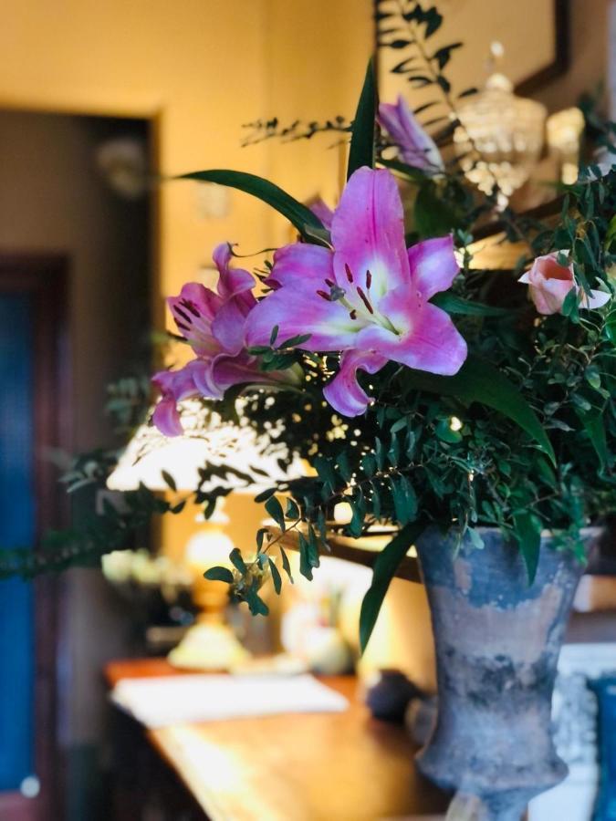 Casa Cambini Bed & Breakfast Marina di Massa Eksteriør bilde