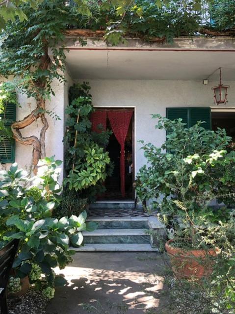 Casa Cambini Bed & Breakfast Marina di Massa Eksteriør bilde
