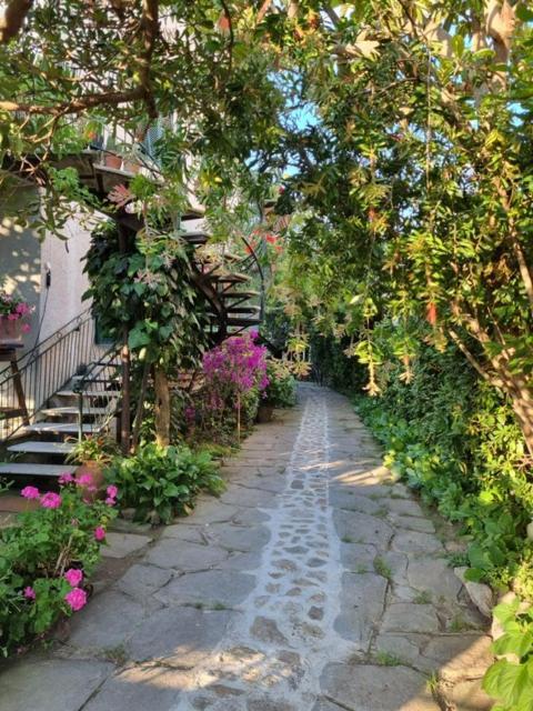 Casa Cambini Bed & Breakfast Marina di Massa Eksteriør bilde