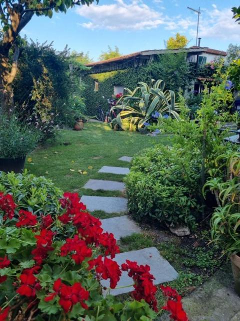 Casa Cambini Bed & Breakfast Marina di Massa Eksteriør bilde