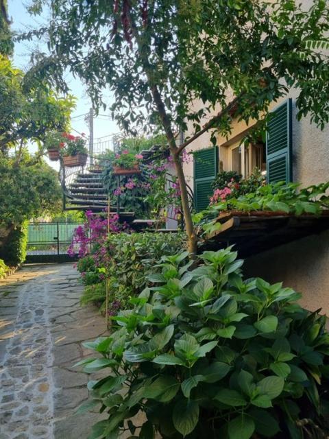 Casa Cambini Bed & Breakfast Marina di Massa Eksteriør bilde